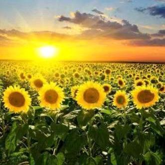 曼天雨  &  衣影飘香  新步行街店