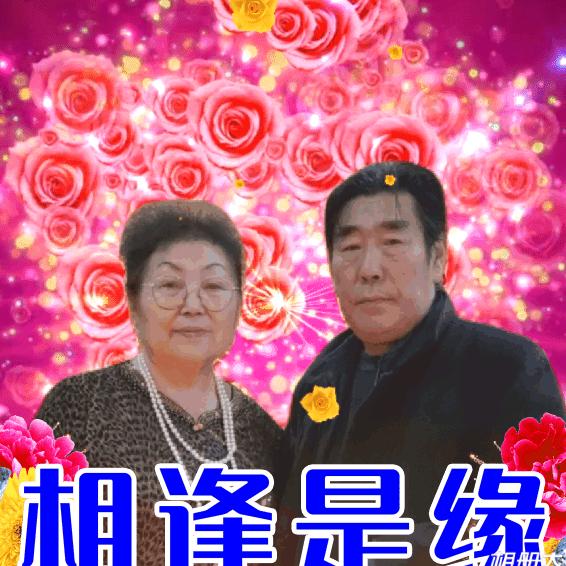 蒙古龙