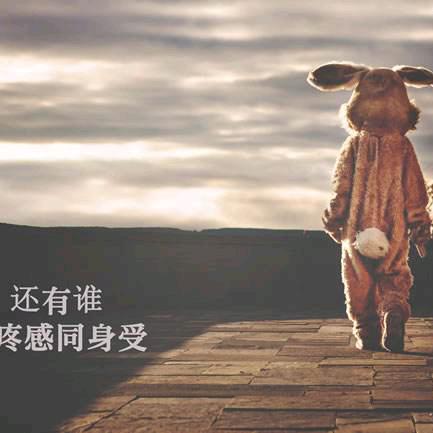 呼噜呼噜