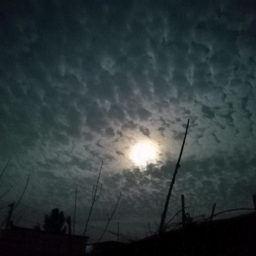 不慌不忙的周仙域头像