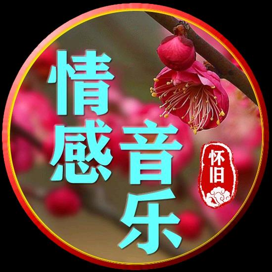 人生如梦，情感音乐分享