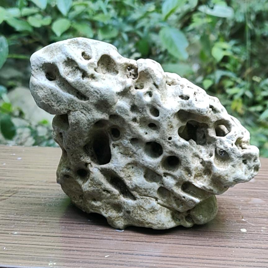 🦹¹ᶟ₁₄王杨补牢₅₂₀💞࿐