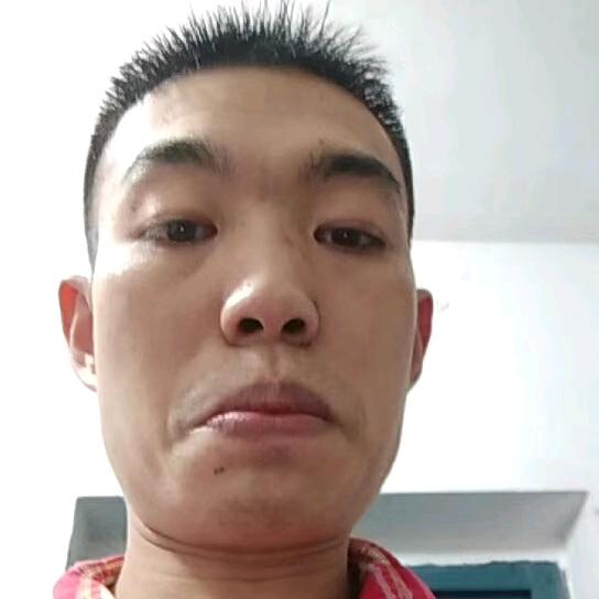 养猪飞哥