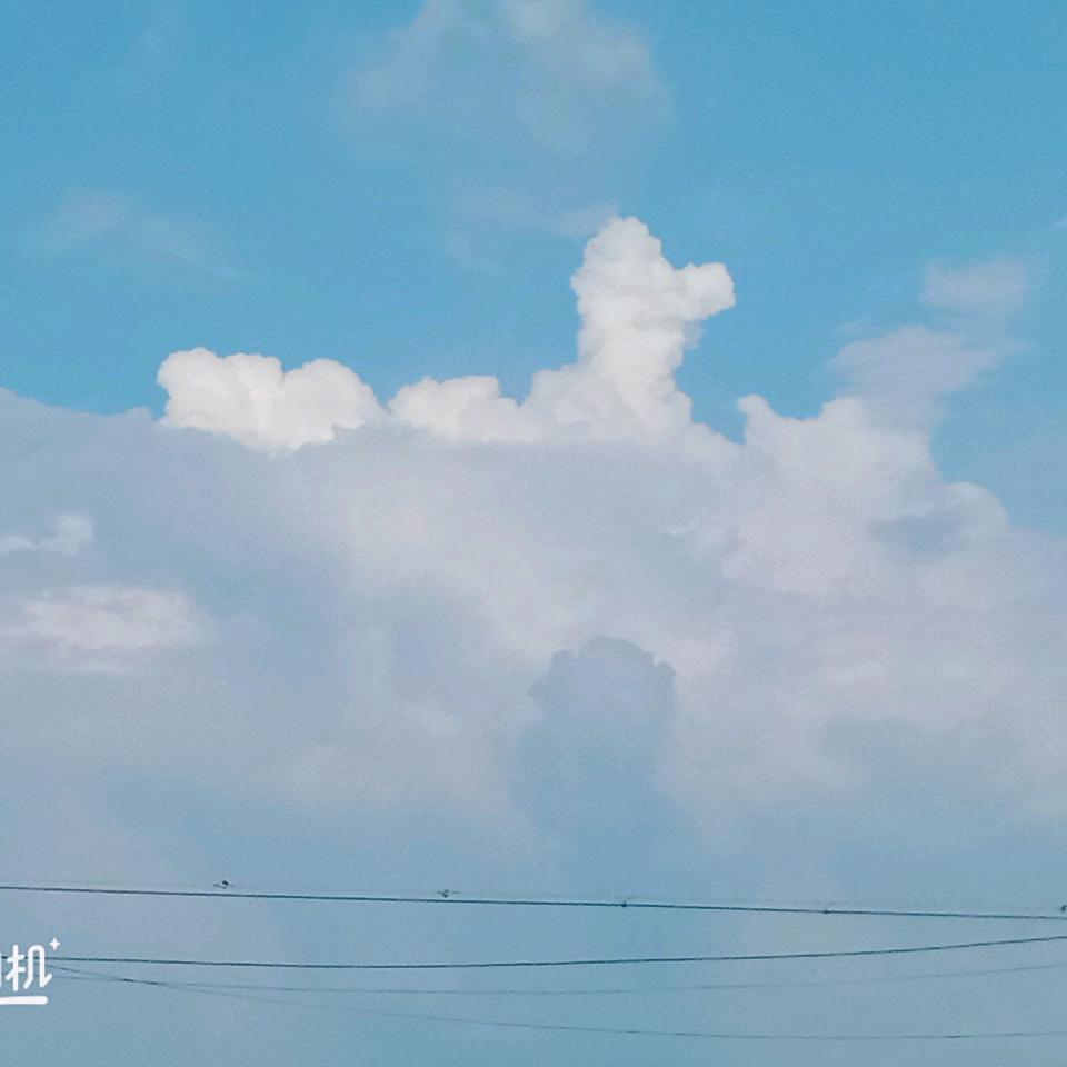 木易梅花