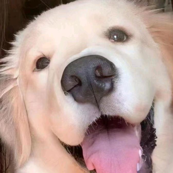 好多年一直给晓晓当小弟