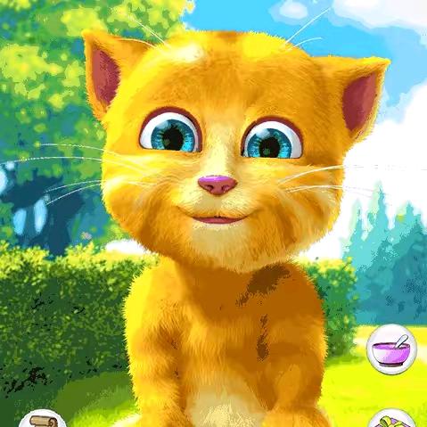 汤姆猫baby