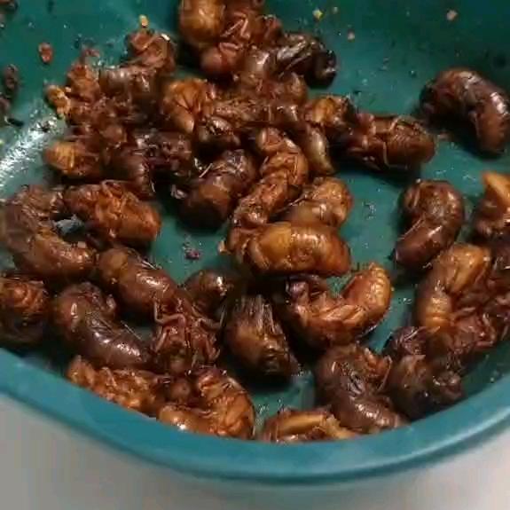 三管老张水果代办