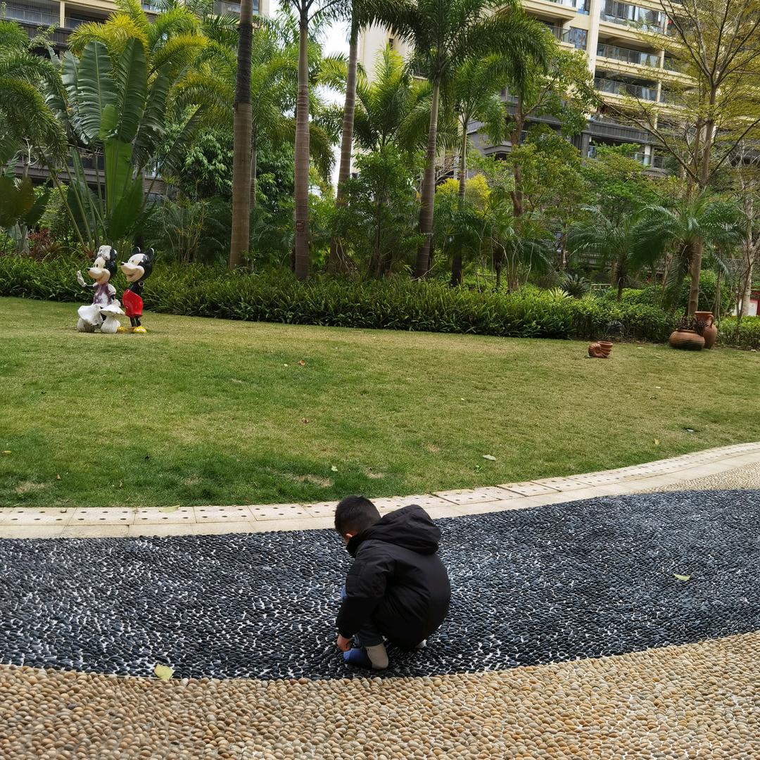 🐒LYQ赖着李LYQ💞