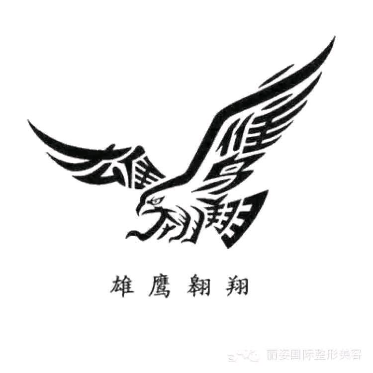 雄鹰翱翔🦅