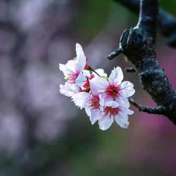 乐观的老奶奶👵