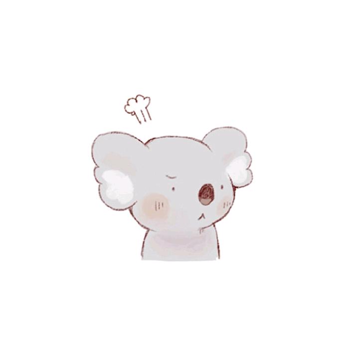 koala