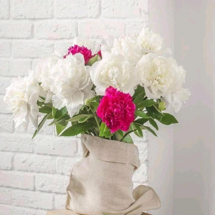 顺其自然 💋研(拒绝私聊)