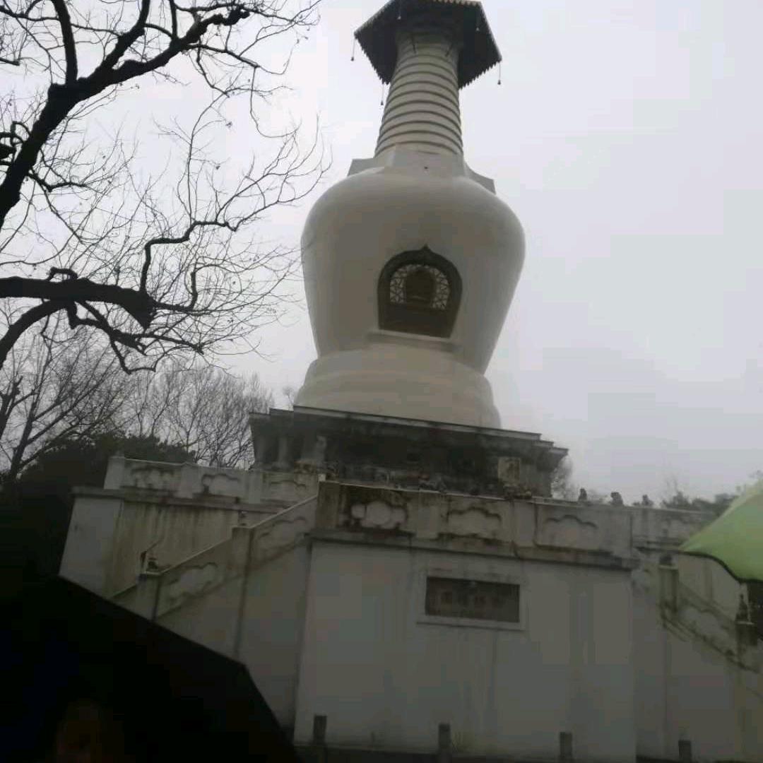 狂揽天下
