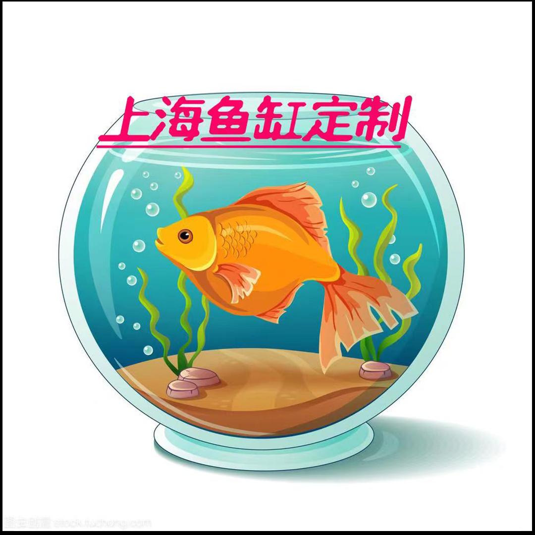 上海鱼缸定制