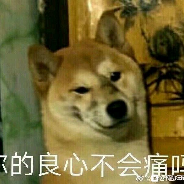 花栗鼠大王