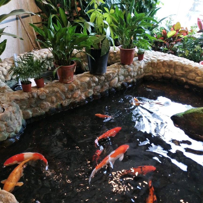 有缘相会