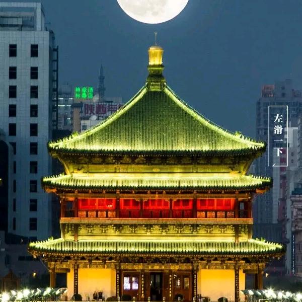 伤透的心