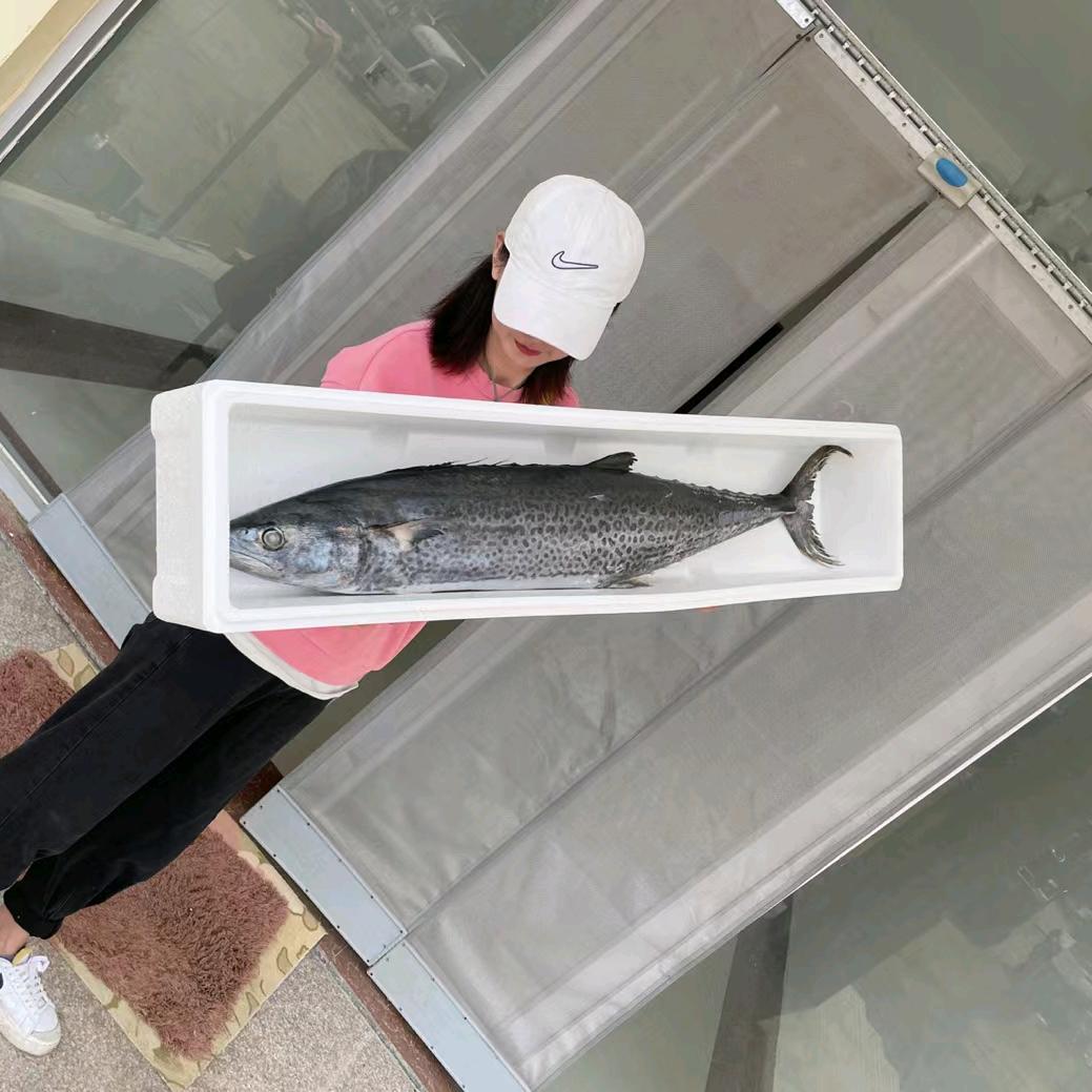 海鲜生大鱼海产品