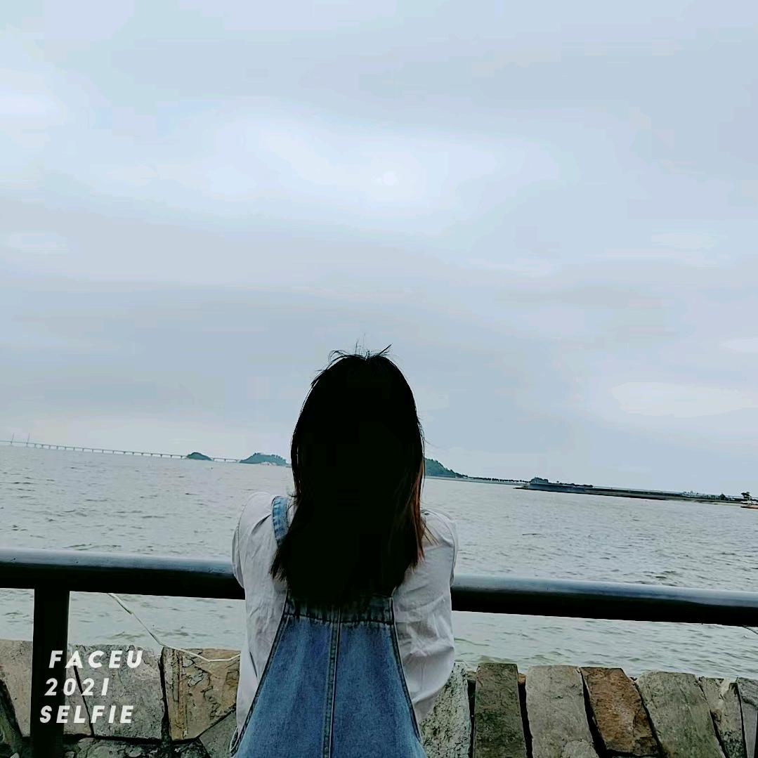 琴