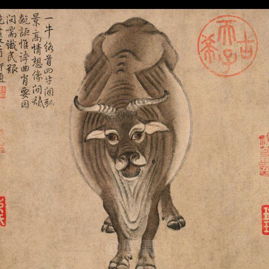 意冷（手机摄影）