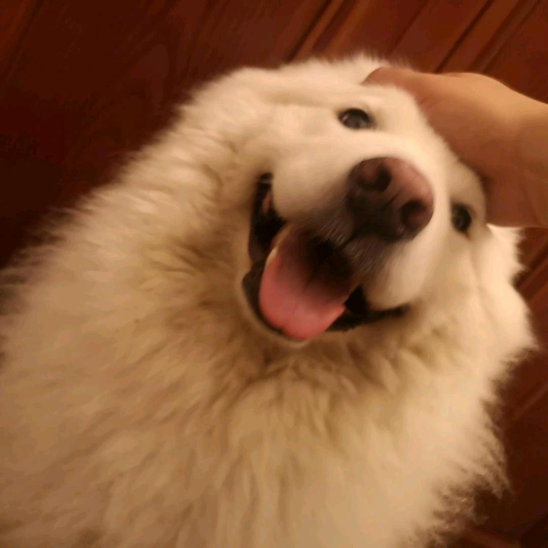 二银不二