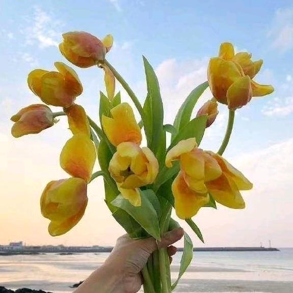 ᨶ႒ᩚ黎᭄李💗꯭᪲前行ꦿ⁵²⁰