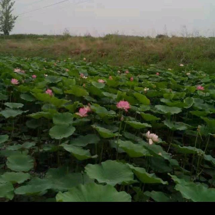 用户明天更美好