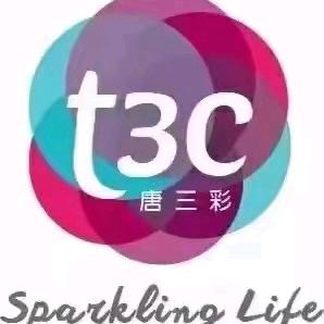 沈家唐三彩皮肤管理