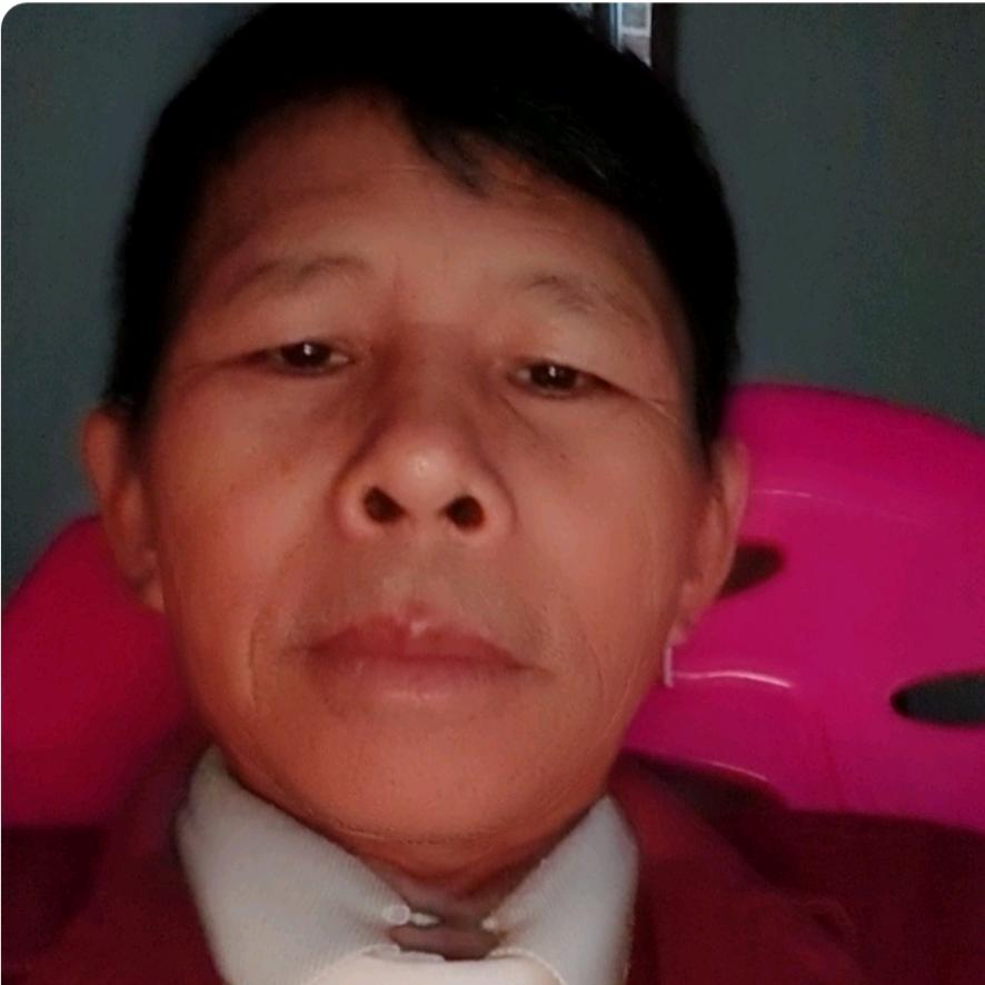 哥智，来啦