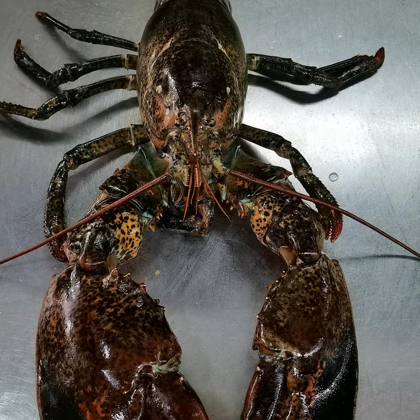 霞浦食鼎记大排档
