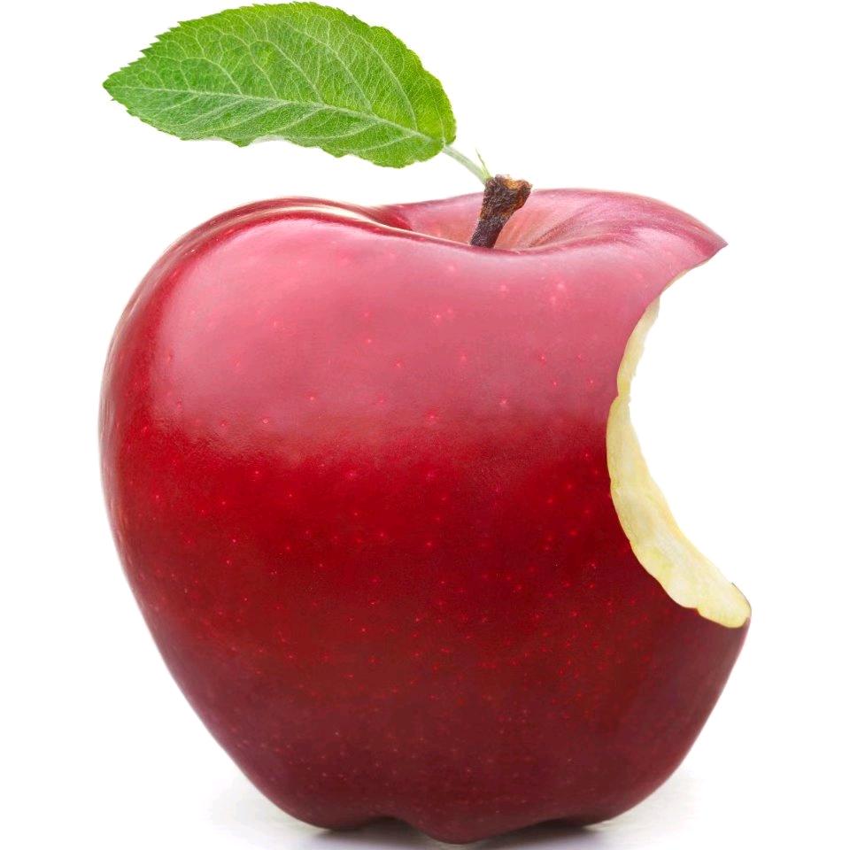 礼县田百和种植养殖农民专业合作社