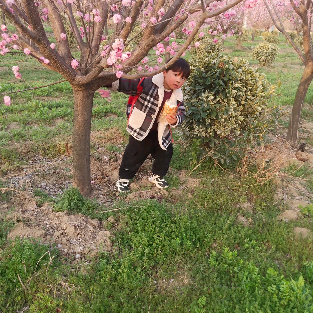 再来