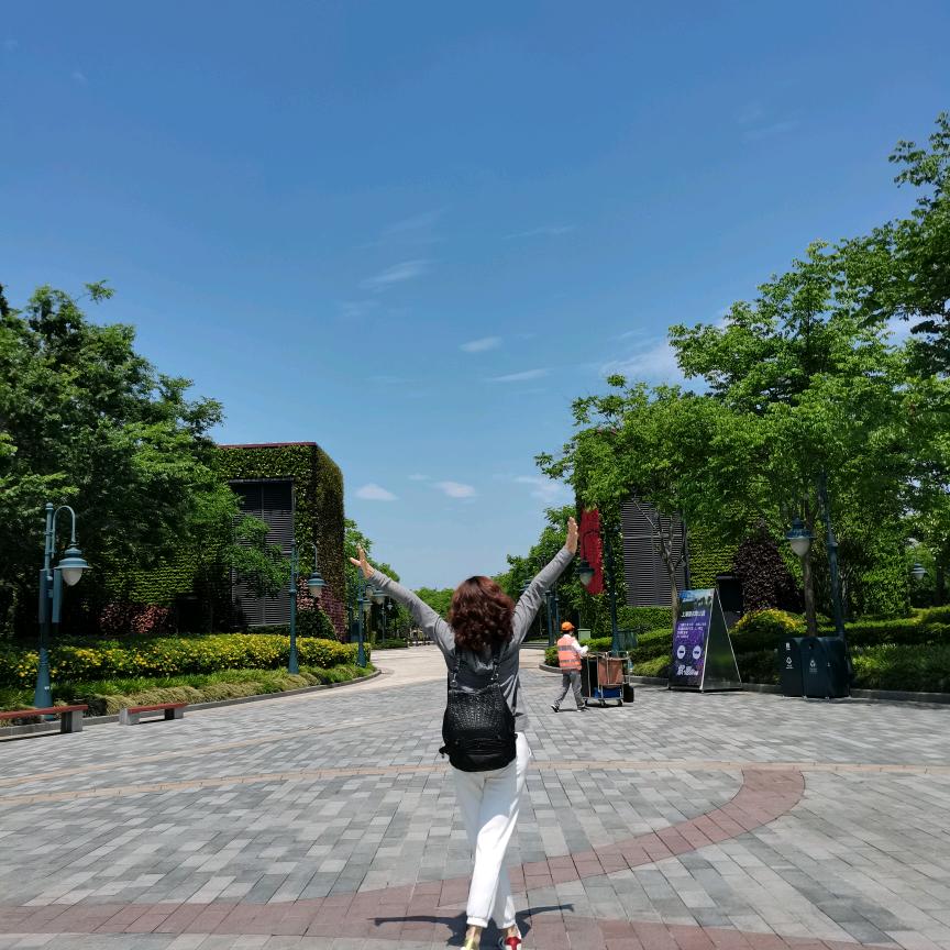 婉若清风