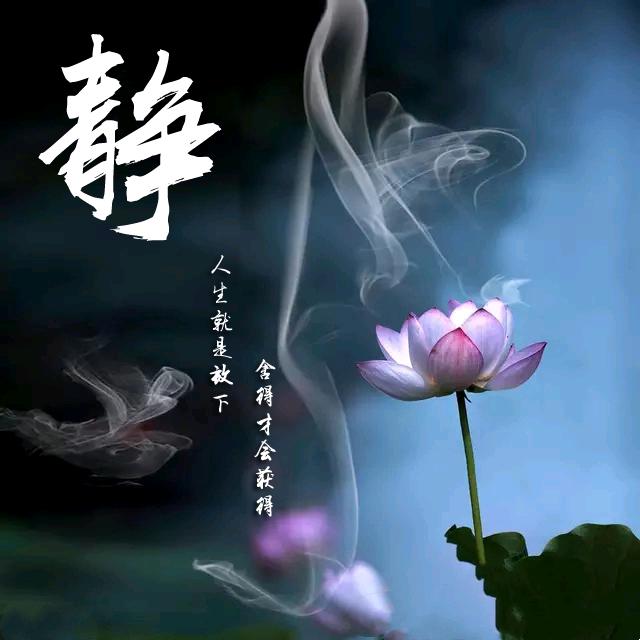 丹姐  文创