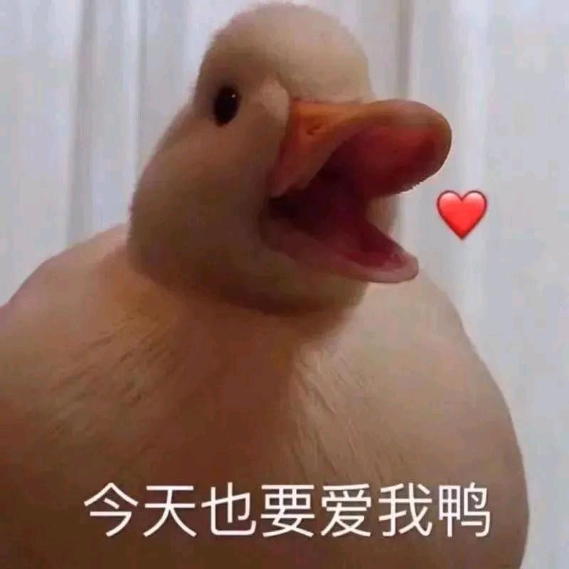 小机灵的奇妙世界