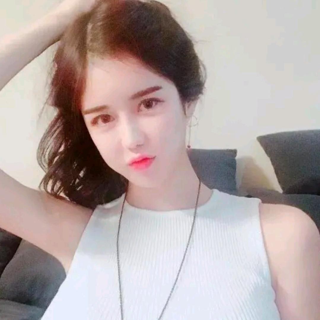 动物司姐