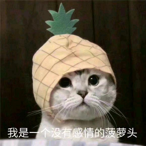 云与海