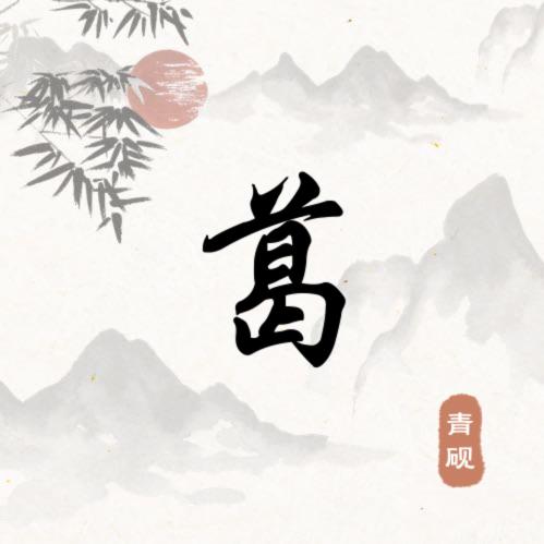 葛壁老王