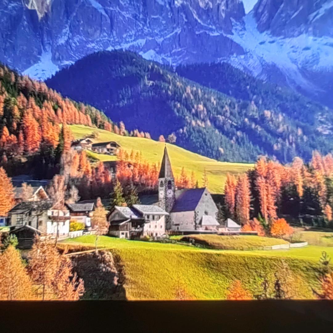 好再来笨养猪肉