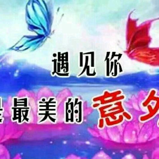 遇见你是最美的意外