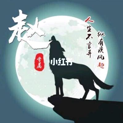 赵财进宝