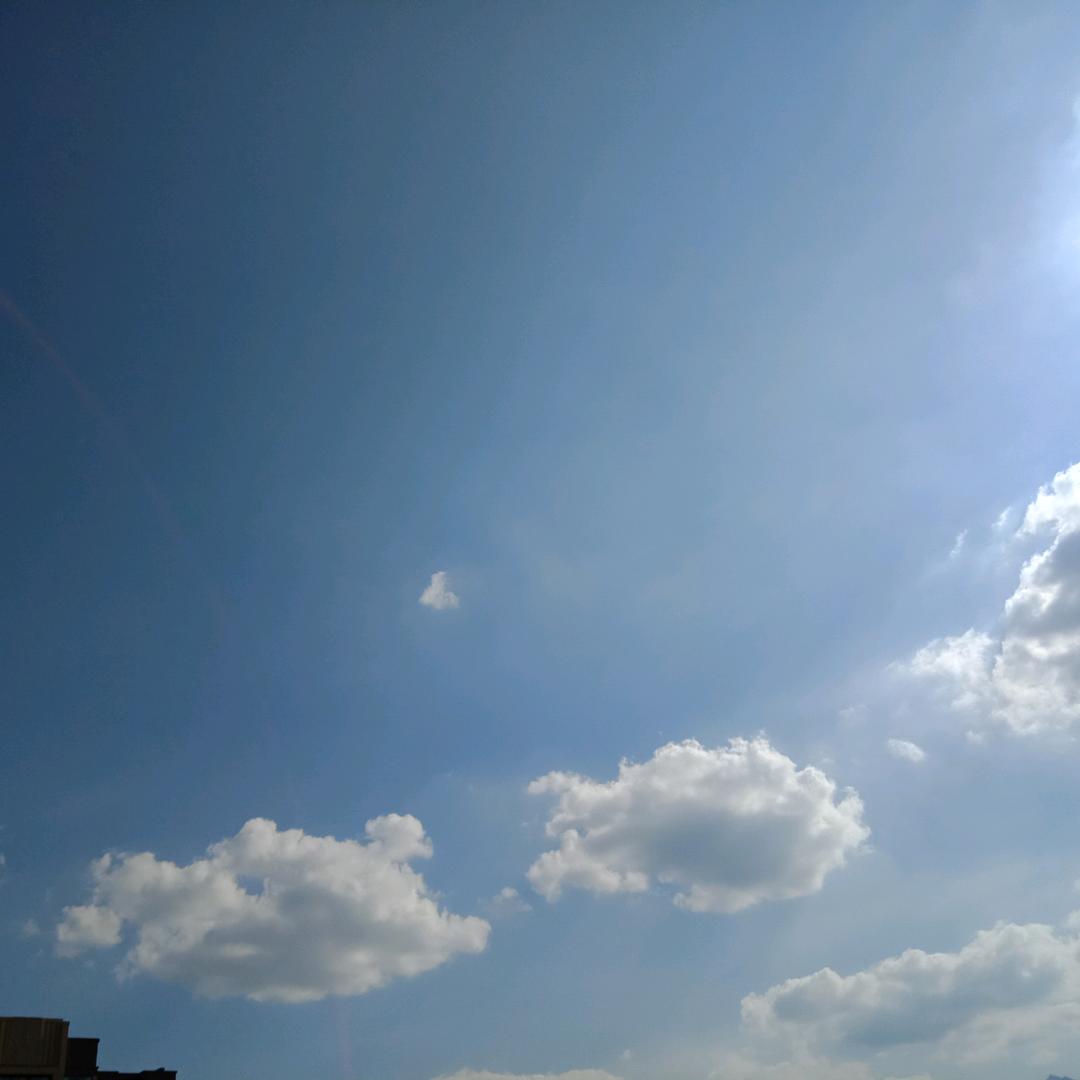 竹木缘家庭农场