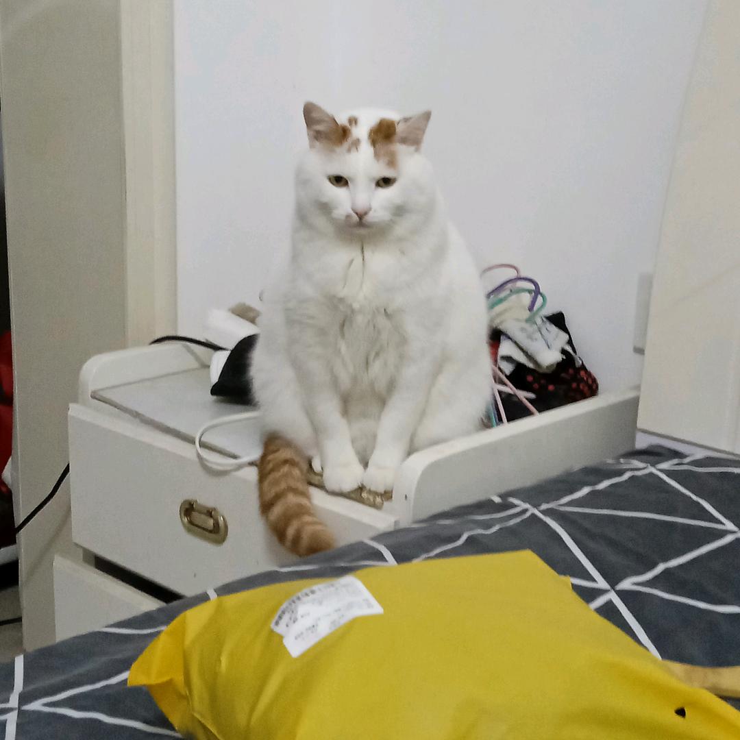 随缘