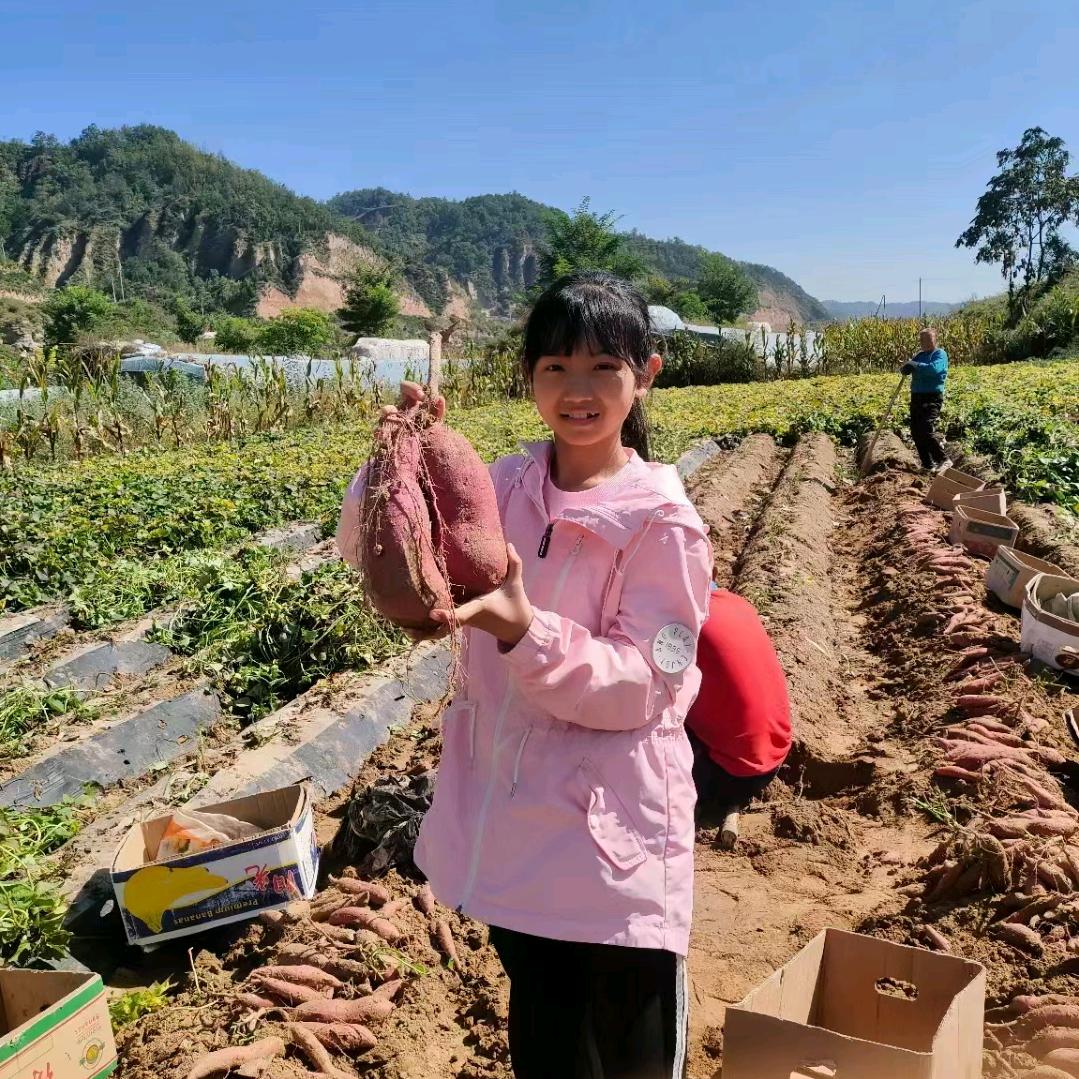 勤劳的人