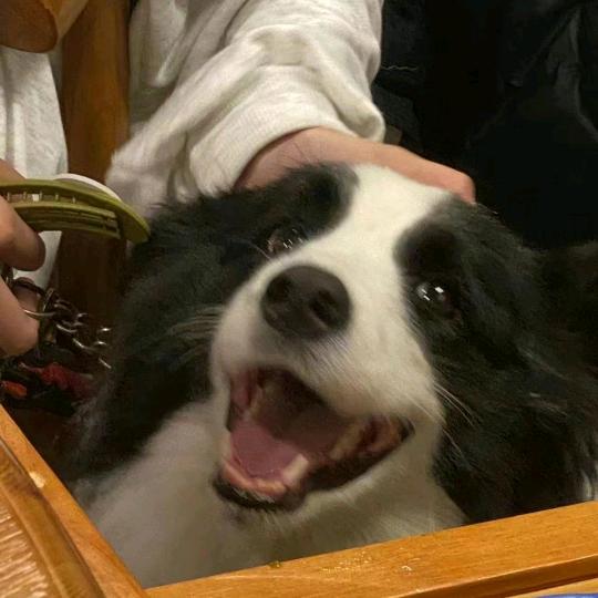 等一等再