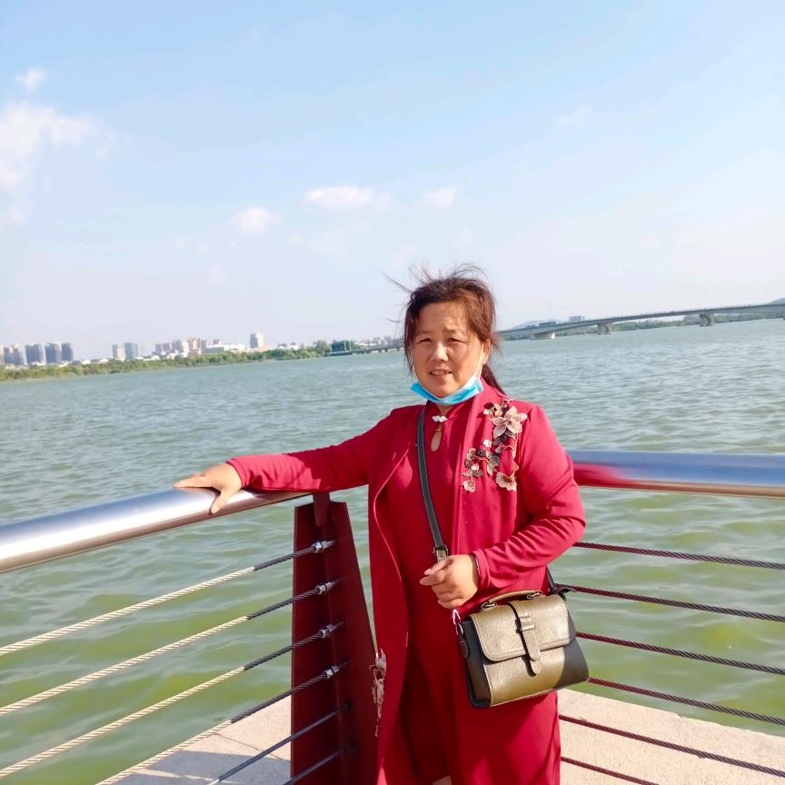 安徽老乡——王福芹