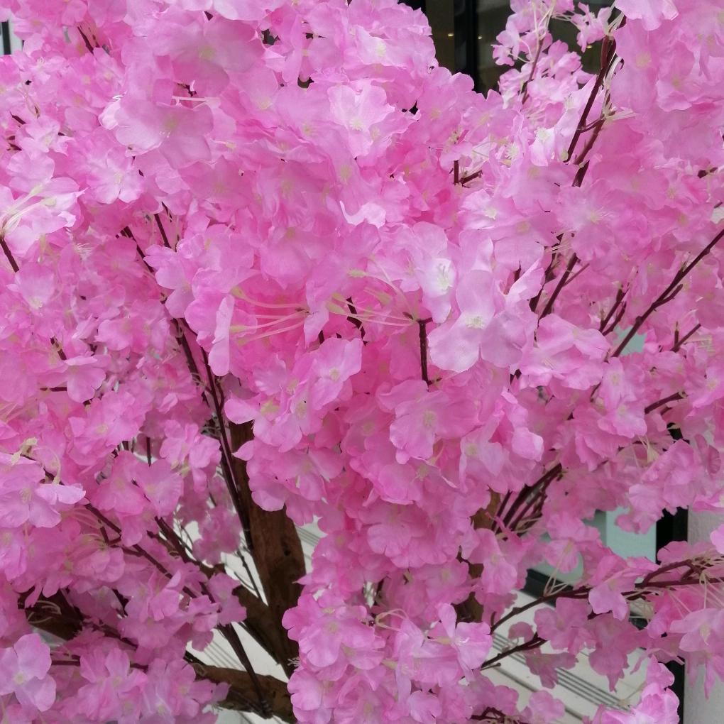 春暖花开～