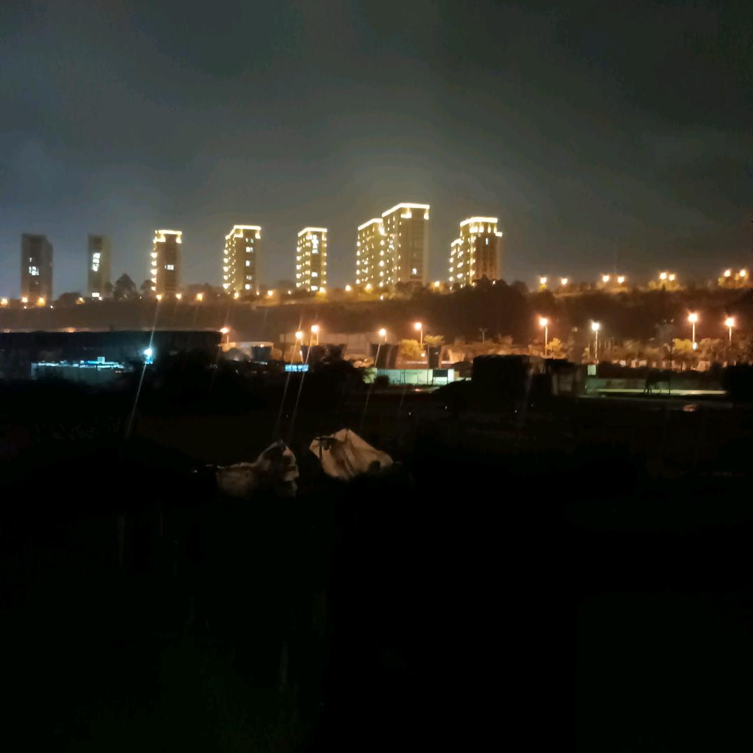 奕伟