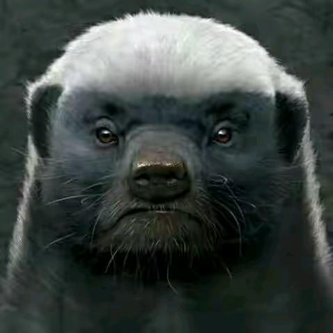 上证镰刀收割机