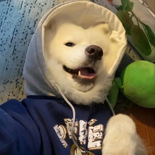 你的以墨
